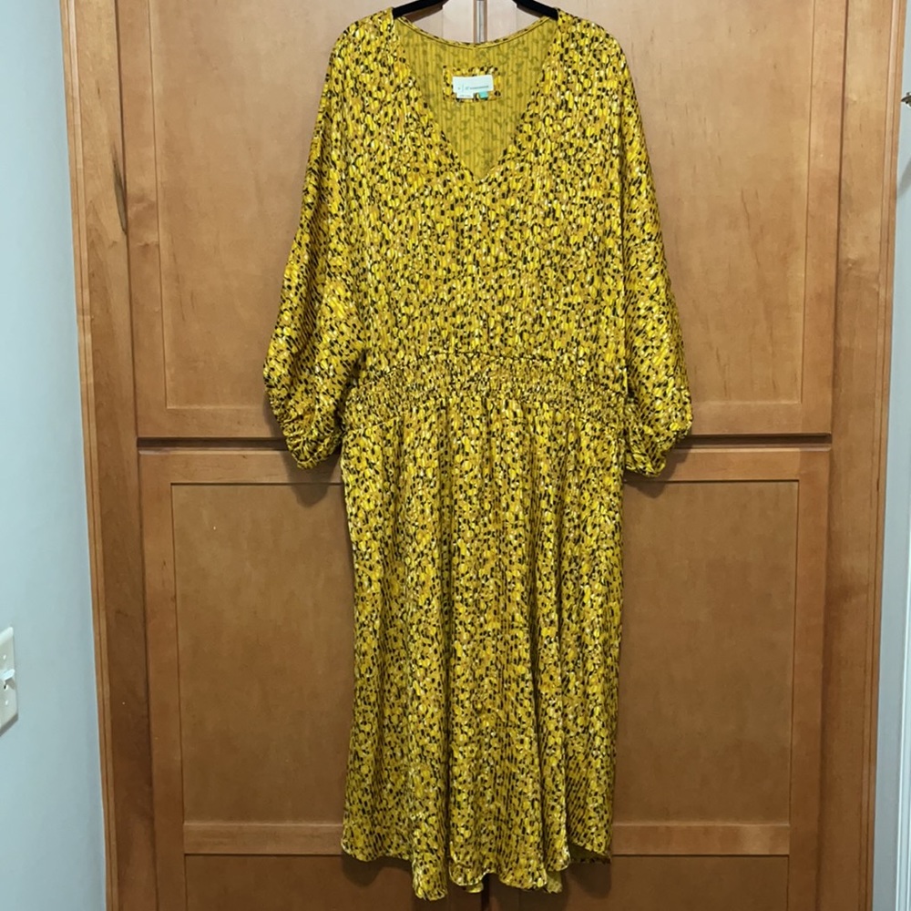 Women’s Plus Size Anthropologie Dress